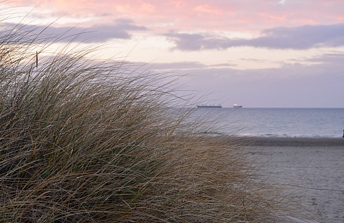 Warnemünde
<p>Beach grass in the foreground and ships in the backgroud. Warnem&uuml;nde Strand at dusk. </p>
Küste - Strand, Schifffahrt/Hafen
Anna Rürup